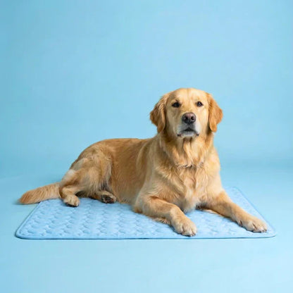 Belen | Il tappetino che resta fresco — anche dopo ore sotto il tuo cane.
