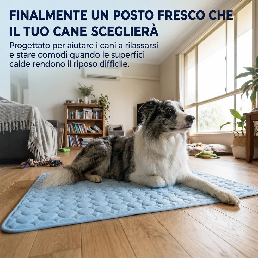 Belen | Il tappetino che resta fresco — anche dopo ore sotto il tuo cane.