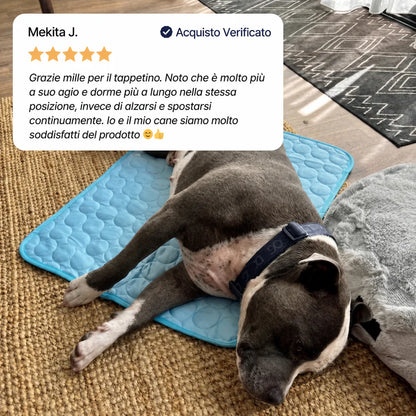 Belen | Il tappetino che resta fresco — anche dopo ore sotto il tuo cane.
