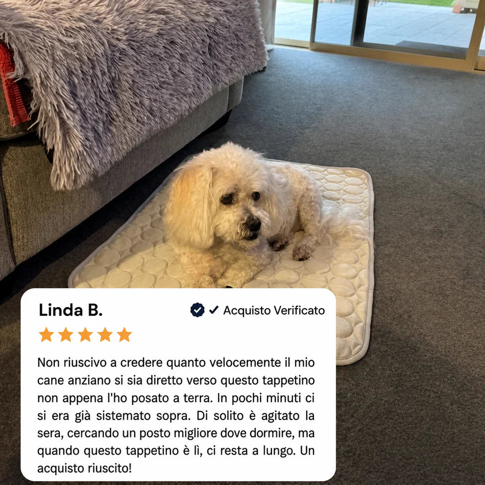 Belen | Il tappetino che resta fresco — anche dopo ore sotto il tuo cane.